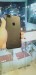 I phone 7 plus